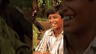 Damakku Damakku Song  Ilaiyaraaja  Parthiban  Nandita Das  Azhagi Movie  oldmemories [upl. by Carter]