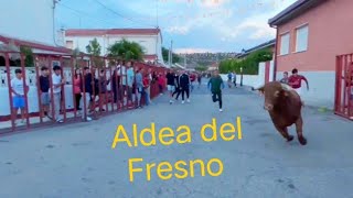 Encierro Aldea del Fresno 2024 🏃🐂 [upl. by Ramar]