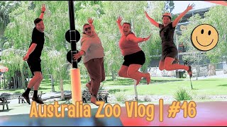 6 Trip to Australia Zoo with Kiwis 🐊🦘🇦🇺🇳🇿  Vlog 16 [upl. by Elman]