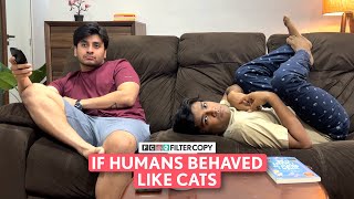 FilterCopy  If Humans Behaved Like Cats  Ft ManishKharage amp Aditya Pandey [upl. by Milstone895]