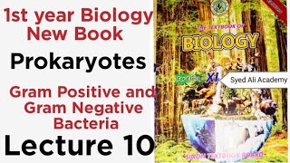 Gram positive and gram negative bacteria  class 11 biology Sindh text book board new book 1st year [upl. by Beichner]