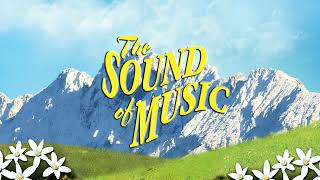 Sound of Music Edelweiss Backing Track [upl. by Culver145]