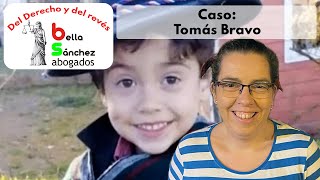 Audiencia lectura cargos tema Tomas Bravo [upl. by Adnolat351]