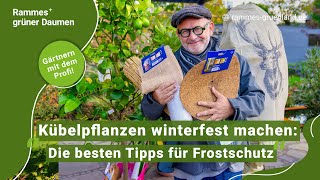 Kübelpflanzen winterfest machen Die besten Tipps für Frostschutz [upl. by Acenes]