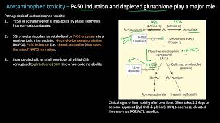 Acetaminophen or Tylenol Toxicity  Lect 19  Pharmacology [upl. by Chap175]