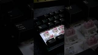 Keydous NJ80C Hall Effect keyboard  Outemu Magnetic Beige Pink [upl. by Nuahc]