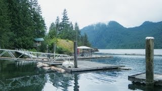 Pitt Lake Waterfront Cabin For Sale  7 Cacus Point [upl. by Halbert]