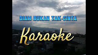 Karaoke Diam Bukan Tak Cinta Cover Edward W [upl. by Elrod670]