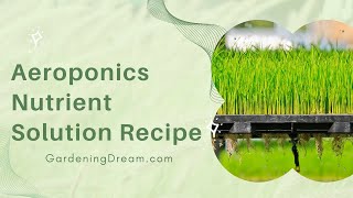 Aeroponics Nutrient Solution Recipe [upl. by Yellek]