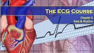 The ECG Course  Rate amp Rhythm [upl. by Olwen805]