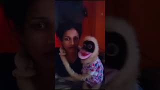 Ventriloqulist janu comedy ventriloquism comedyfilms bagalakot ventriloquist [upl. by Ainirtak737]