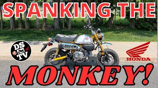 Honda Monkey on and Off Road Test and Review [upl. by Horter]