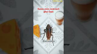 Kanon mein cockroach ghus Gaya 😨😨 shorts virelshorts trending facts zackdfilms [upl. by Katlaps]