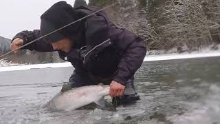 BLIZZARD Steelhead Fishing [upl. by Peck327]