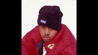 SOLD Nas Boom Bap Type Beat 2023  quotWarningquot [upl. by Shu]