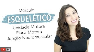 Músculo Esquelético 56 Unidade Motora Placa Motora e Junção Neuromuscular  Anatomia e etc [upl. by Annaihr519]