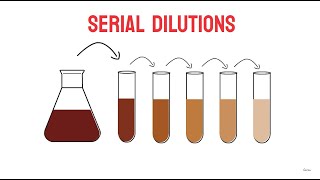 Serial Dilutions  Microbiology [upl. by Nitsraek415]