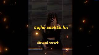 Tujhe sochta hn slowed and reverb mind relaxing 😌 [upl. by Priest]