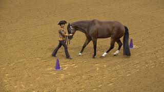 AQHA Pro Horsemens Competitive Edge Showmanship [upl. by Freytag]