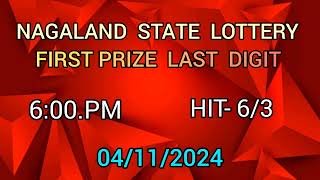 First Prize Last Digit 041124 Nagaland State Lottery Target Number Lottery Sambad Target Number [upl. by Notyrb]