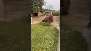 Silage at baba afzal silage chak no 431 jb [upl. by Us]