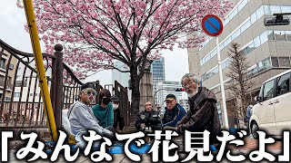 【集合】67歳のホームレスが仲間達と花見に行って春を満喫した結果… [upl. by Markos]