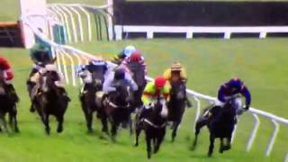 Horse Dies  During Race [upl. by Godfree]