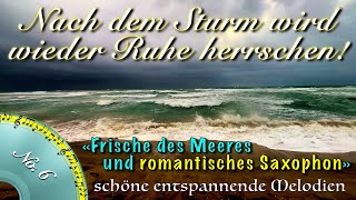 quotNach dem Sturm wird wieder Ruhe herrschenquot eine beeindruckende Melodie von Saxofon und Gitarre MV6 [upl. by Gnex]