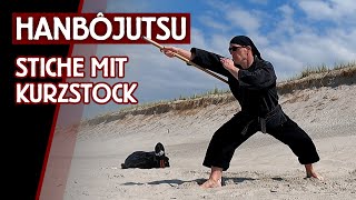 Mit Kurzstock zustechen  verschiedene Varianten mit HANBO  Ninjutsu lernen [upl. by Nagiam]