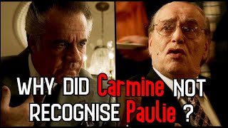 Why Did Carmine Not Recognise Paulie  The Sopranos Explained [upl. by Sikleb]