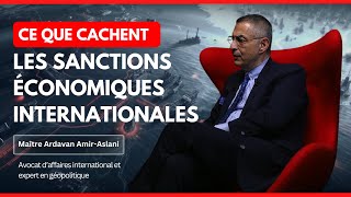 Les sanctions ne servent à rien  Le dessous des cartes avec Me AmirAslani [upl. by Devlen39]