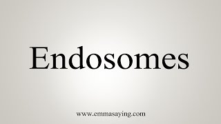 How To Say Endosomes [upl. by Ainitsirhc469]