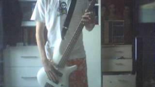 Korn  Shoots and Ladders Bass cover [upl. by Allimak]