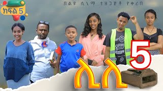 ሊሊ ክፍል 5 አዲስ የአማርኛ ተከታታይ ድራማ 2024 seifuonebs lovestory afelafikir ebs ethiopiantiktokinsurance [upl. by Sueahccaz]