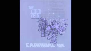 Cannibal Ox  quotIron Galaxyquot Official Audio [upl. by Oakie]