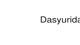 How to pronounce Dasyuridae [upl. by Wieren]