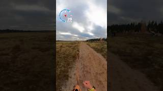 Départ au championnat d’europe 🇪🇺 suite  canicross bikejoring canivtt malinois dog humour [upl. by Retsub]