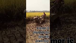 A farmer is ploughing the field with power tillerAmazing World Views [upl. by Ateuqirne]