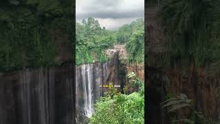 detikdetik terjadinya banjir lahar dingin gunung Semeru [upl. by Arihsak597]