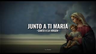 Junto a ti Maria  Canto a la Virgen o Salida  Letra COVER [upl. by Penrod]