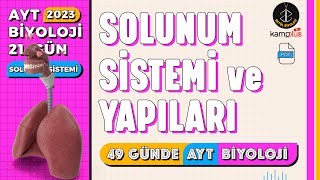 21 Solunum Sistemi ve Yapıları  Solunum Sistemi 11 Sınıf  2023 AYT Biyoloji Kampı 21 Gün [upl. by Acemat320]