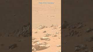 Perseverance Rover Sol 1306  Mars New 4k Video  Mars 4k Video  Mars In 4k  Mars shorts [upl. by Ayt]