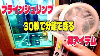 【30秒で分離】ブラインシュリンプの卵を分離できる神アイテムを紹介 [upl. by Caffrey]