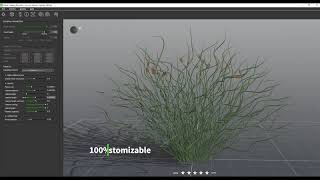 PlantCatalog 3D Corkscrew rush  Juncus effusus Spiralis  procedural vegetation engine [upl. by Ailahtan]