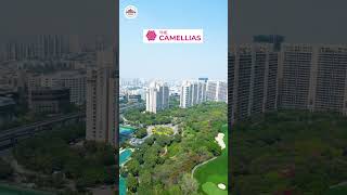 Indias Most Expensive Society Flats  DLF Camellias amp DLF Magnolias Gurgoan [upl. by Eelibuj33]