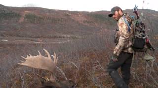 Dropped Project Yukon 390 Yard Moose Kill with Vortek Ultralight LDR [upl. by Meesaw345]