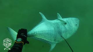 Sink or Swim  EP 3  Spearfishing GIANT Trevally during the Sardine RUN  SOUTH AFRICA [upl. by Savannah]