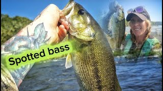 Bass fishing Chattahoochee River [upl. by Goodkin]