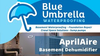 NJ Basement Dehumidifier Installation  AprilAire Dehumidifiers  Blue Umbrella Waterproofing [upl. by Zerlina374]