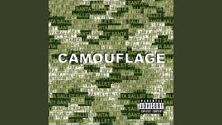 Camouflage [upl. by Annat]